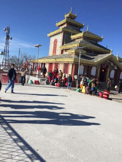 Trek to Kanatal | Kaudia forest kanatal