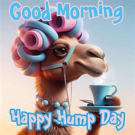 Happy Hump Day Wednesday