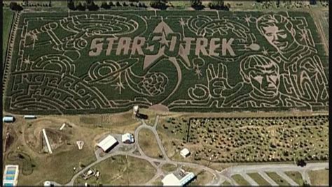 Massive Star Trek maze in Illinois is world's largest | FOX 35 Orlando