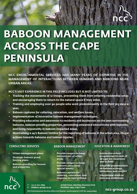 Image result for Baboon Communication