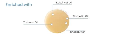 Buy Earth Rhythm Conditioner Bar Tamanu, Kukui Nut & Camellia Oil ...