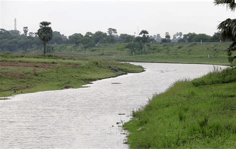 Bringing Life back to Champa River – SANDRP