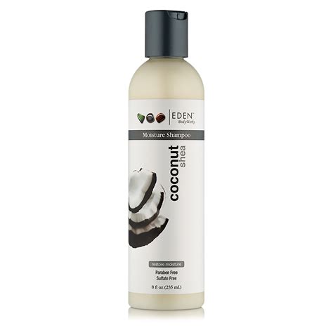 Eden Body Works Coconut Shea Moist. Shampoo 8oz | Afro