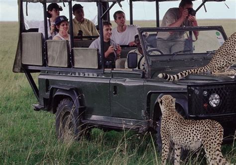 AFRICAN TOUR SAFARIS - All You Need to Know BEFORE You Go 2026 (with ...