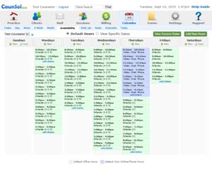 Image result for Therapy Notes Software