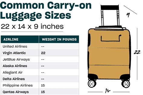 American Airlines Rules For Carry On Luggage at Donald Barber blog