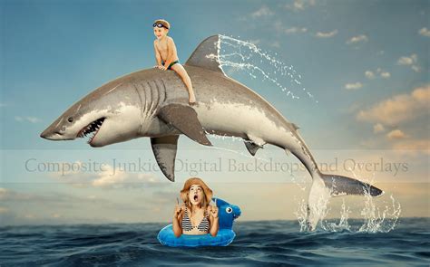 Great White Shark Jumping Out Of Water At Seal