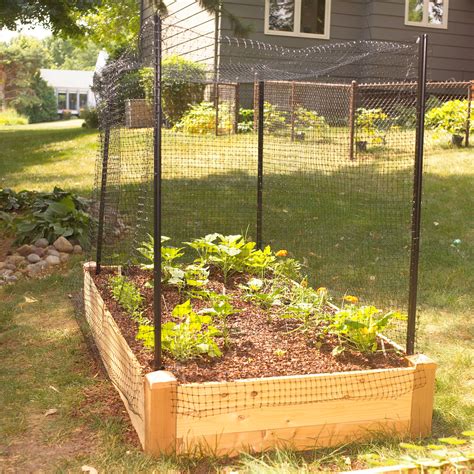 13 Vegetable Garden Fence Ideas to Protect Your Plants