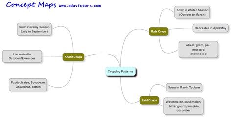Image result for Class 8 Science Chapter 1 Mind Map