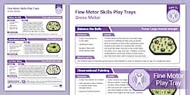 Gross Motor (Poster) | Fine Motor Skills | CPD | Twinkl