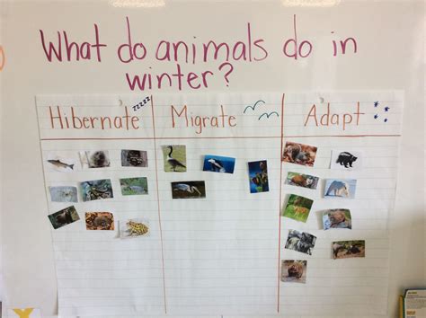Hibernate, Migrate, Adapt - Pathways to Stewardship & Kinship