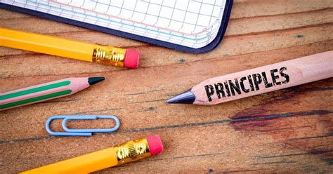 Image result for Basic Graphic Design Principles