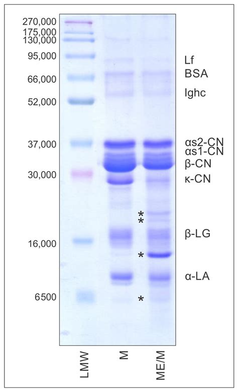 Goat’s Skim Milk Enriched with Agrocybe aegerita (V. Brig.) Vizzini ...