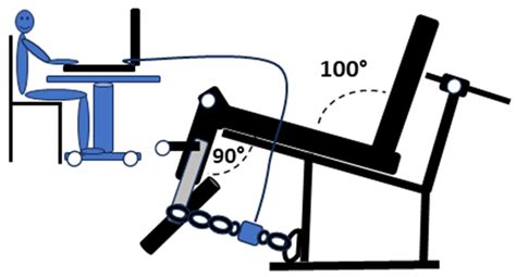 Intra-Session Reliability and Predictive Value of Maximum Voluntary ...