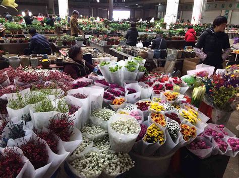 全国主要的鲜花批发市场-168鲜花速递网