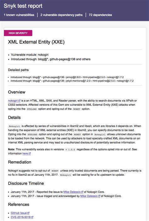 Image result for Python Script to Get the Snyk Report