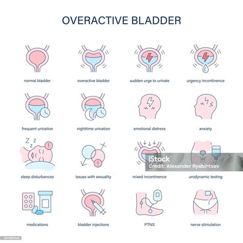 Overactive Bladder Symptoms Diagnostic And Treatment Vector Icons Medical Icons Stock ...