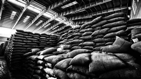 Maximising Income - BusinessToday