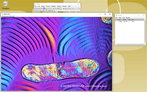 Image result for ImageJ Tutorial Length