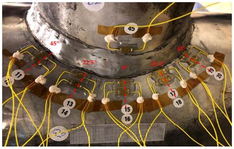 Image result for PCO2 Probe