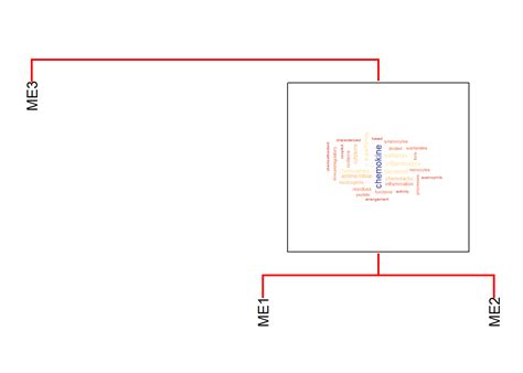 Image result for Ggplot2 Dendrogram