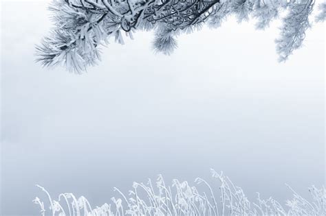 动态雪花背景冬季二十四节气图文模板-样式模板素材-135平台