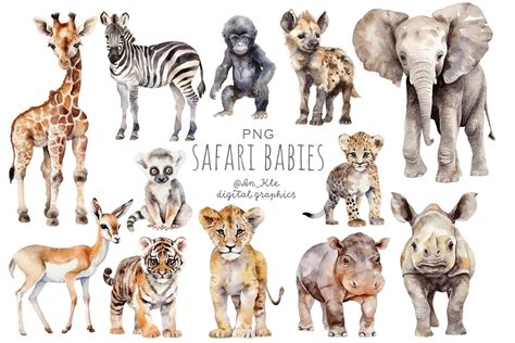 Baby Jungle Animals Infant Clip Art, Png, 1600X1588Px, Baby Jungle ...