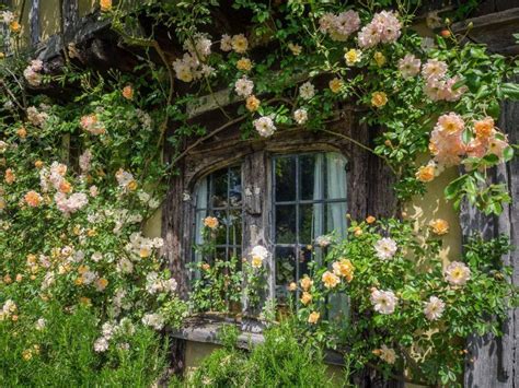 美轮美奂的花园风景油画，让人看着很舒服 - 微文周刊