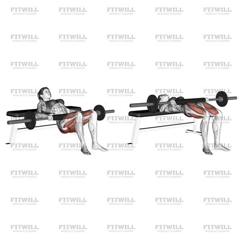 Barbell Hip Thrust: Exercise Guide, Video, Techniques, Benefits, How to ...