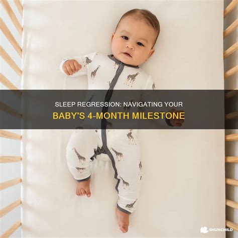 Sleep Regression: Navigating Your Baby's 4-Month Milestone | ShunChild