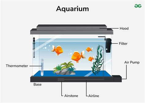 Aquarium - GeeksforGeeks