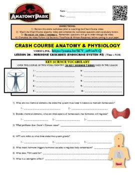 Crash Course Endocrine System 的图像结果