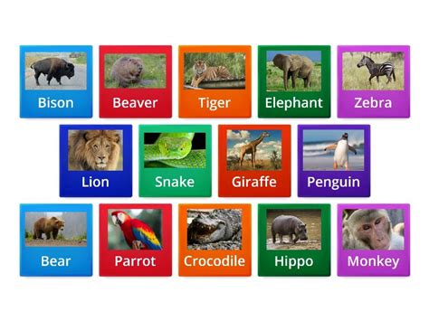 Image result for Animals On Button Moon