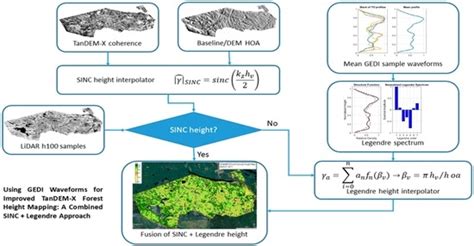 Using GEDI Waveforms for Improved TanDEM-X Forest Height Mapping: A ...
