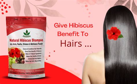 Havintha Natural Hair Shampoo With Amla Reetha Shikakai Methi Dana And ...