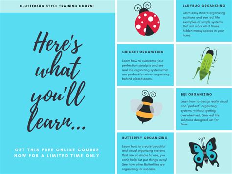 Image result for Clutterbug Organizing Style