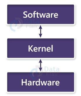 Kernel Types 的图像结果