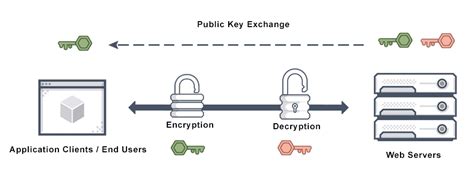 Image result for Web Security SSL