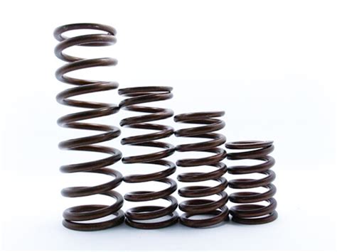 Image result for Spring for Valve