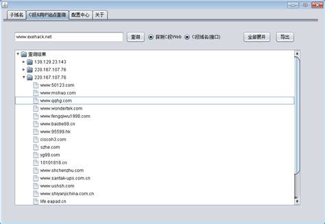 网站子域名、C段、同IP服务器查询工具1.0 中文绿色版-东坡下载