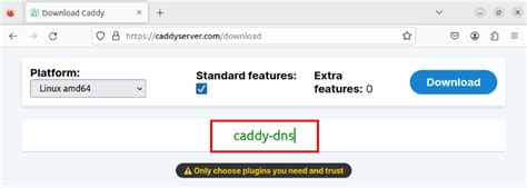 Image result for Caddy Server Set Up Linux