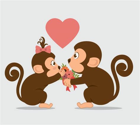 1992年属猴是什么命女婚配 属猴的几点出生最好命