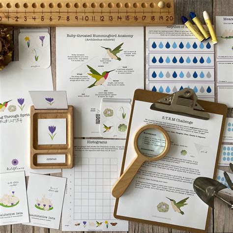 Image result for Sorting through Spring