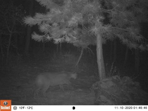 Photos from 2021 - Indian Hills Colorado