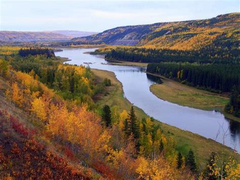 Peace River Campgrounds: Best RV Parks & Camp Sites