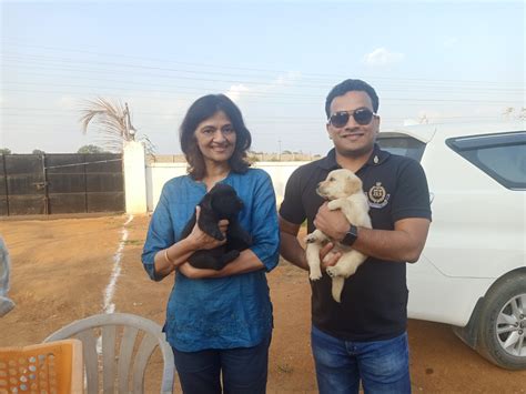 DIRECTORATE OF LOGISTICS