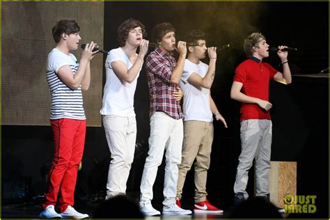 Image result for One Direction Concert Crows Fan Project