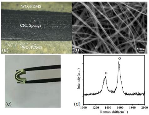 Study on the Gamma Irradiation Characteristics of a Carbon Nanotube ...