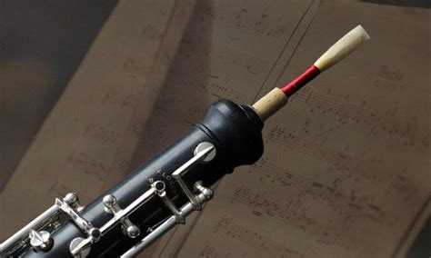 Image result for Reed Musical Instruments