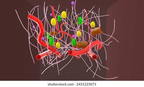 Image result for Connective Tissue Structure and Function